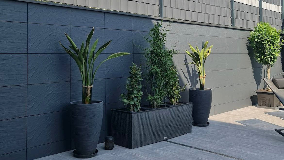 Robuste Gartenmauer verkleidet mit schlagfesten Zierer Fassadenplatten im DIY Verfahren